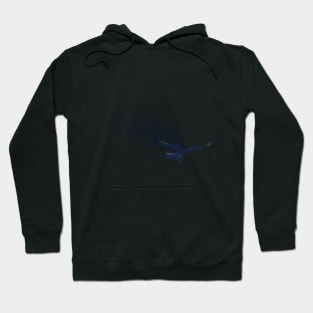 Raven Hoodie